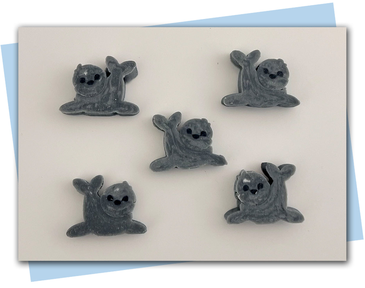 baby seal extruder disc set