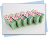 Bars of soap with pink flowers on soap and a green cactus embeds in a green swirl