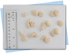 seashell soap embeds