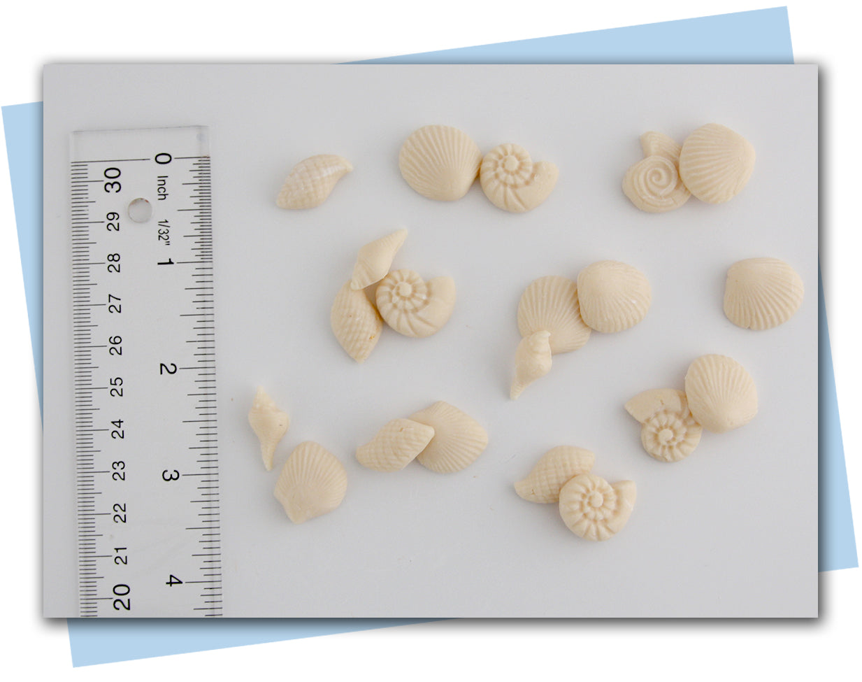 seashell soap embeds