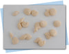 seashell soap embeds