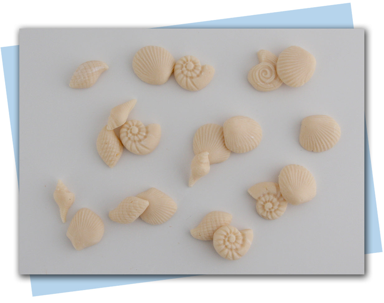 seashell soap embeds