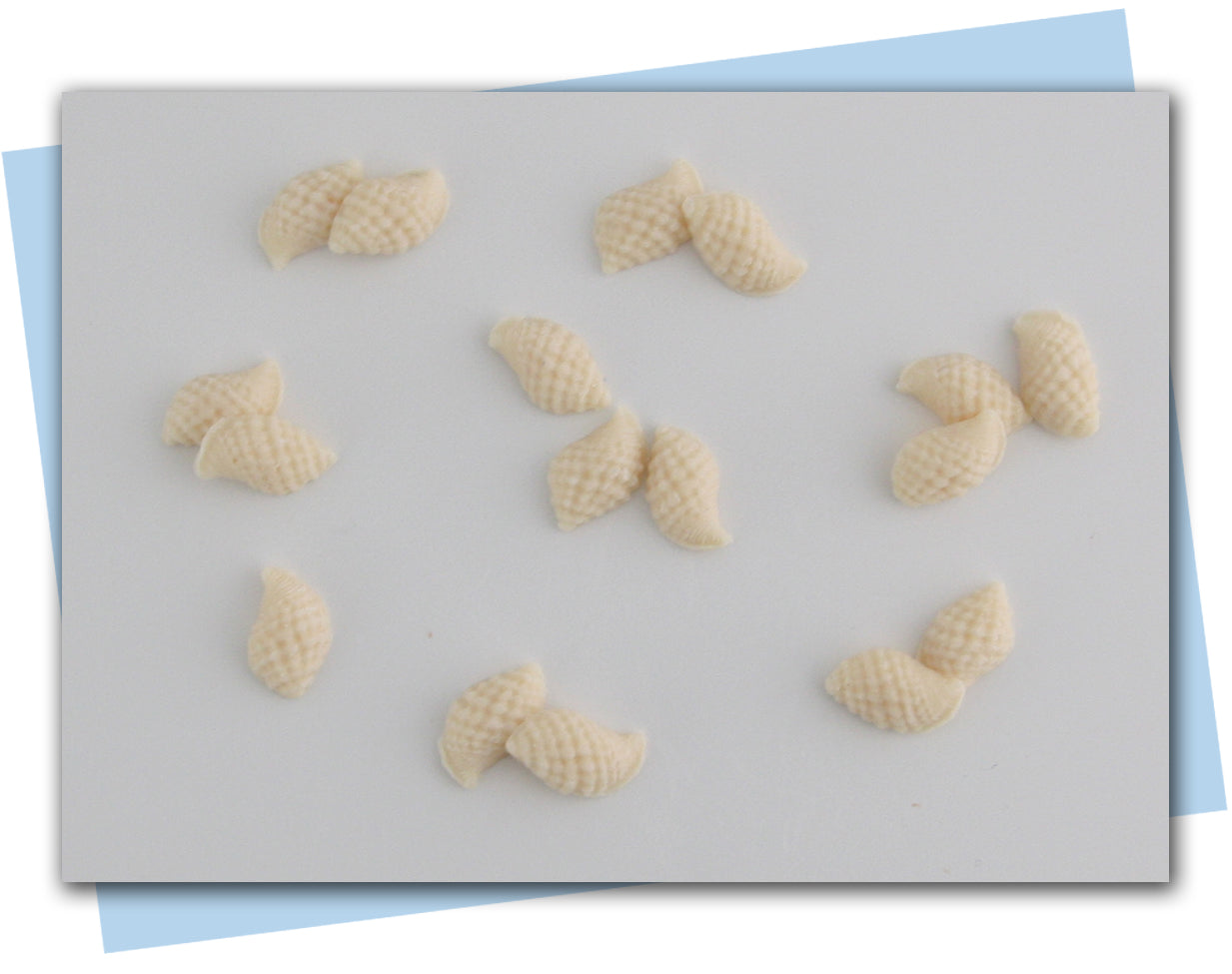 seashell soap embeds