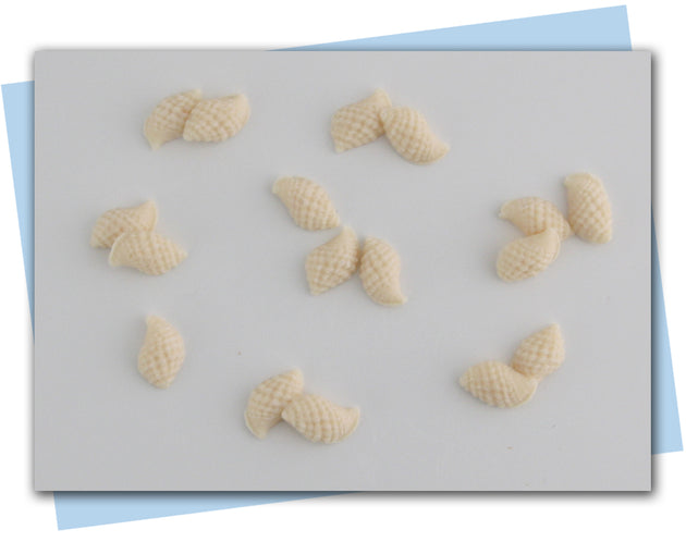 seashell soap embeds