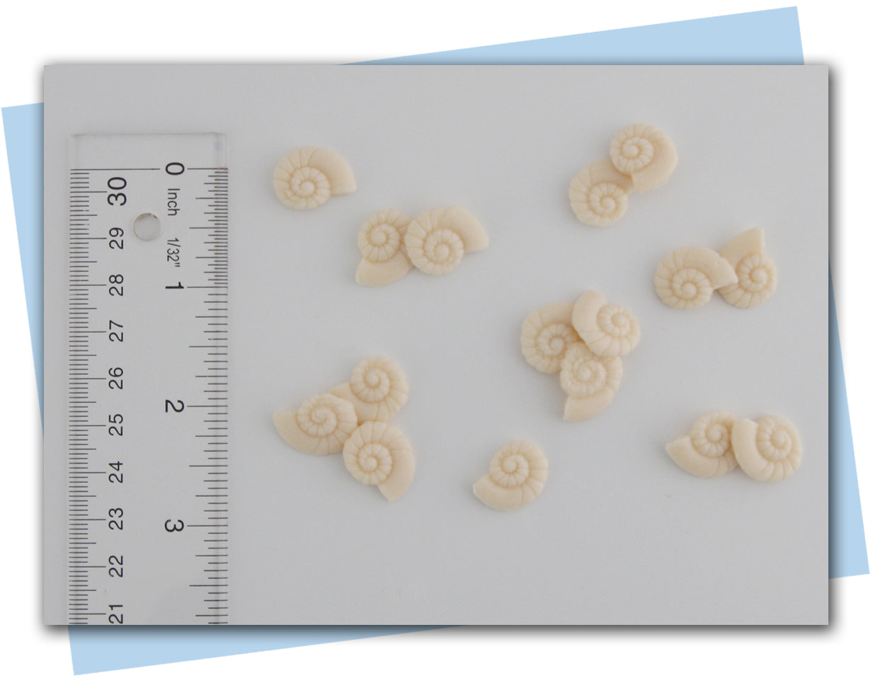 seashell soap embeds
