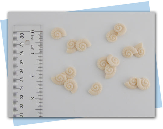 seashell soap embeds