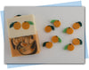 orange fruit extruder disc set