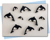 Orca extruder discs