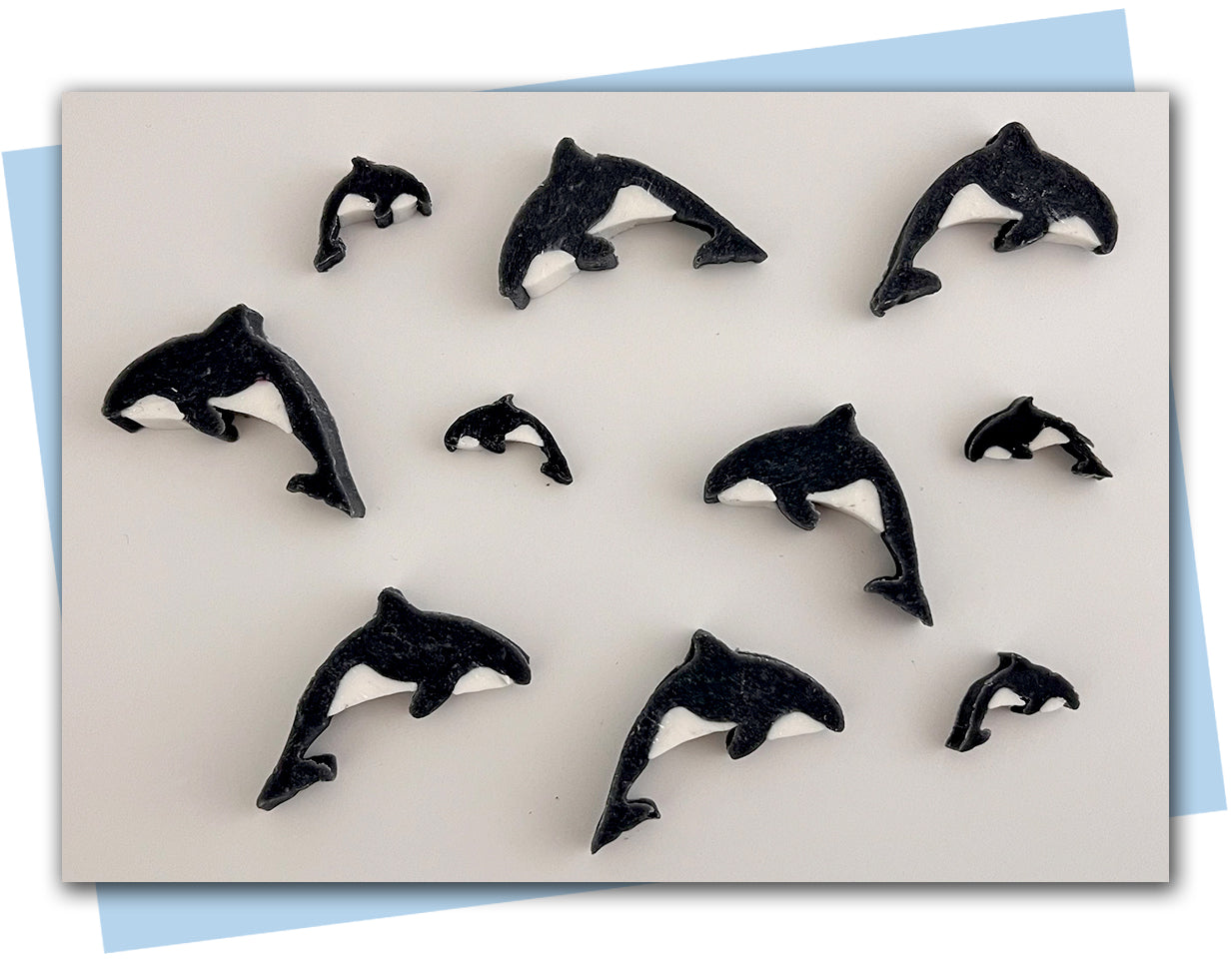 Orca extruder discs
