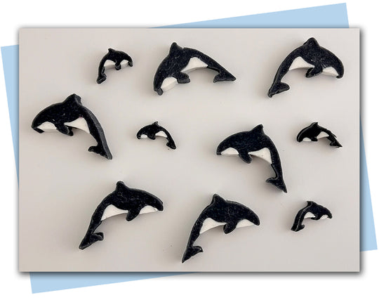 Orca extruder discs