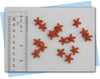 Starfish Soap embeds