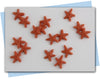 Starfish Soap embeds
