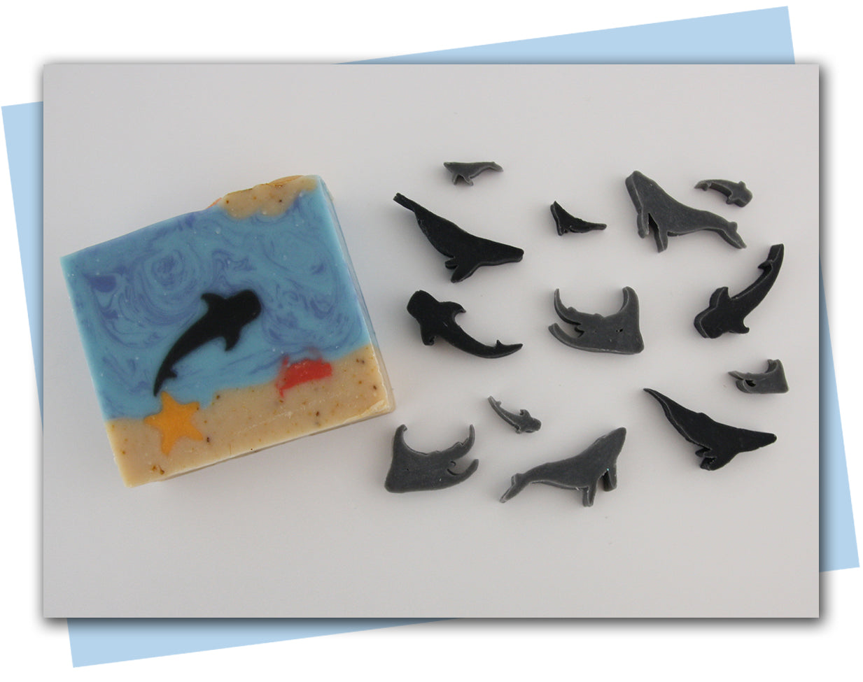stingray, shark, and whale extruder discs