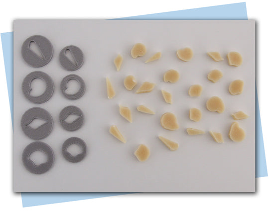 different shape seashell extruder discs