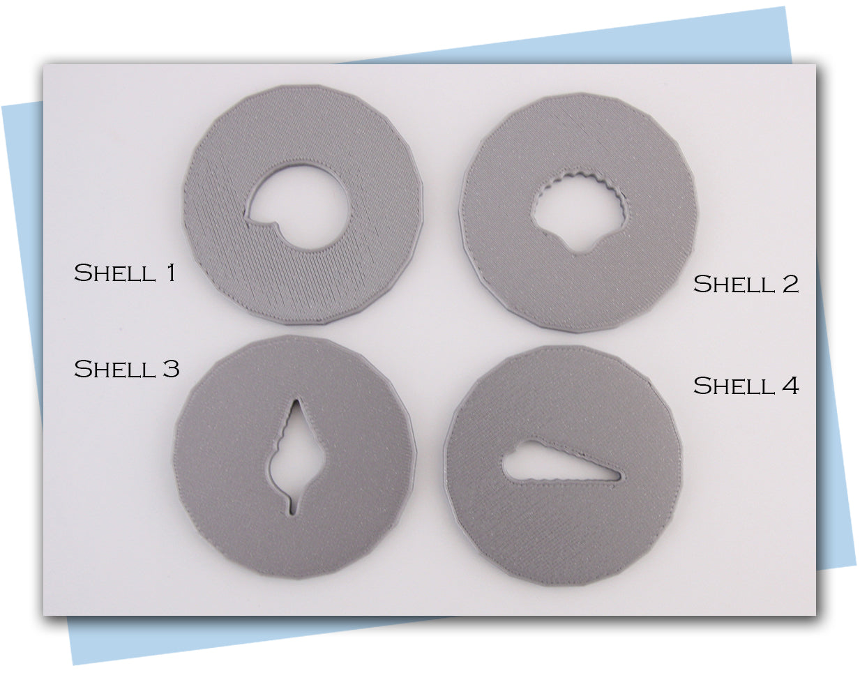 different shape seashell extruder discs