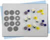 spring flowers and daisy extruder disc sets with different shape and size flowers