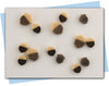 acorn extruder discs