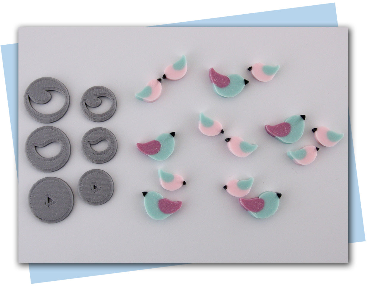 bird extruder discs set