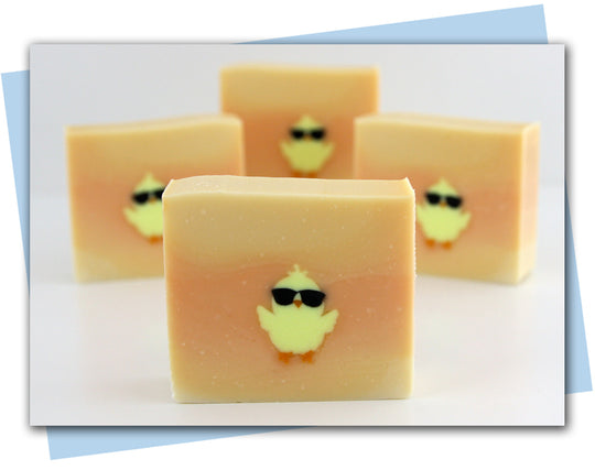 cool chick extruder discs bar of soap example