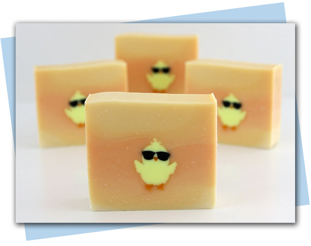 cool chick extruder discs bar of soap example