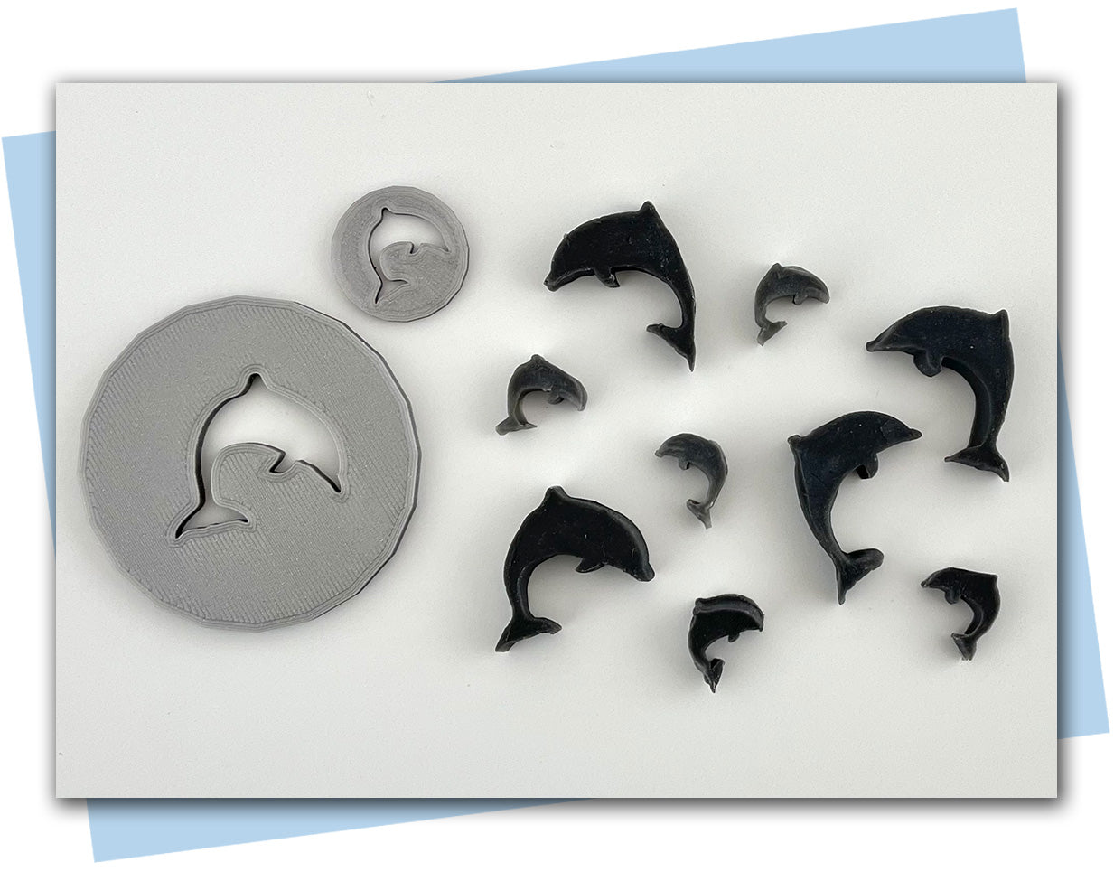 dolphin extruder discs