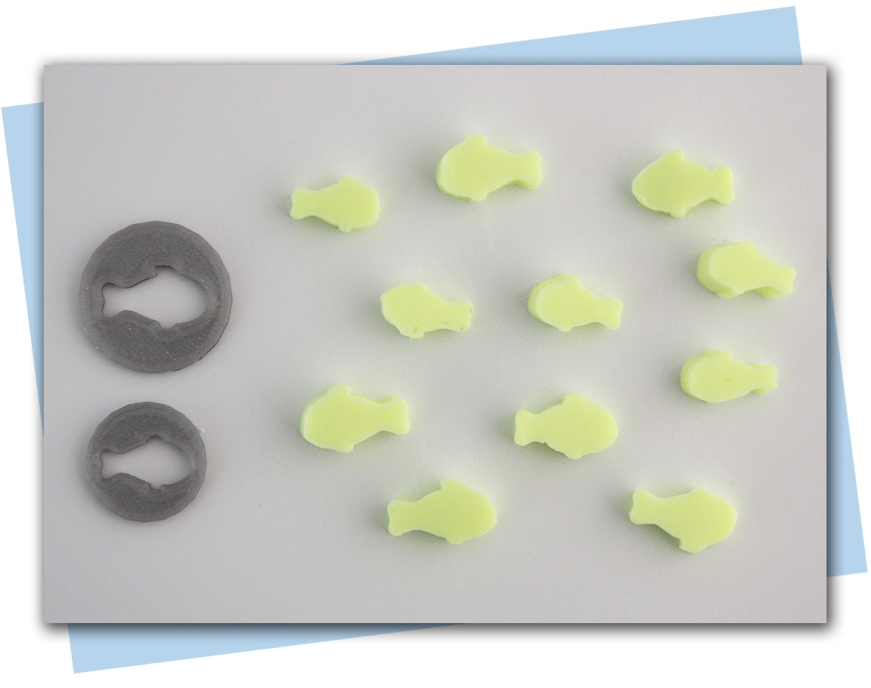 fish  extruder discs