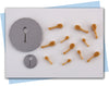 honey dipper extruder discs