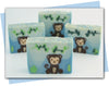example bar of soap