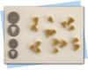 pie extruder discs