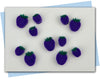 raspberry extruder discs
