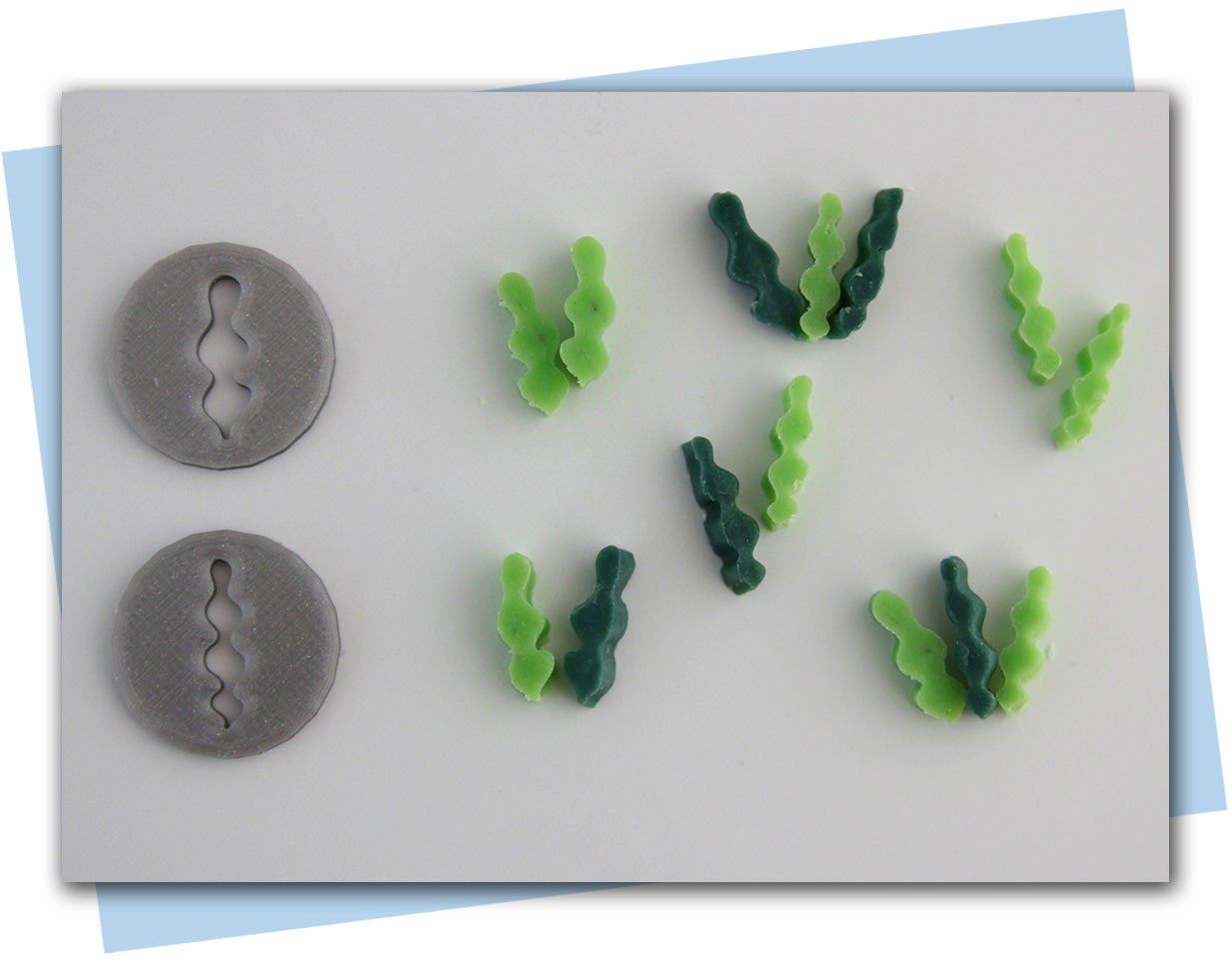 seaweed extruder discs