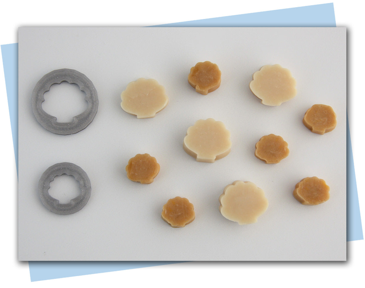 shell extruder discs