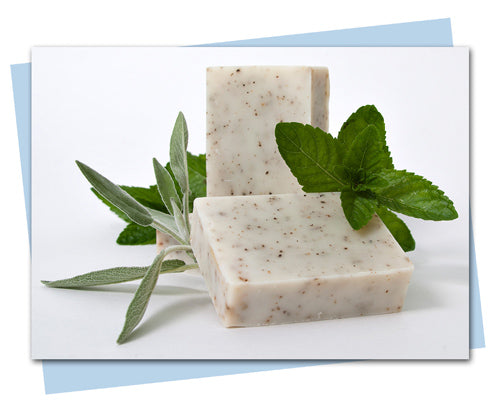 Basil Sage Mint bar of soap