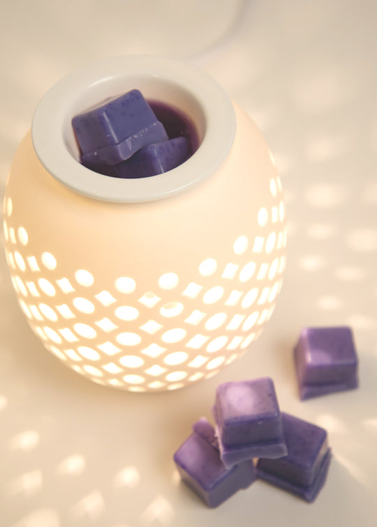Wax Melts in melter